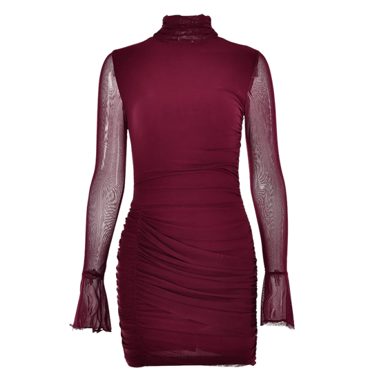 A&A Luxe Ruched Mesh Long Sleeve Mini Dress