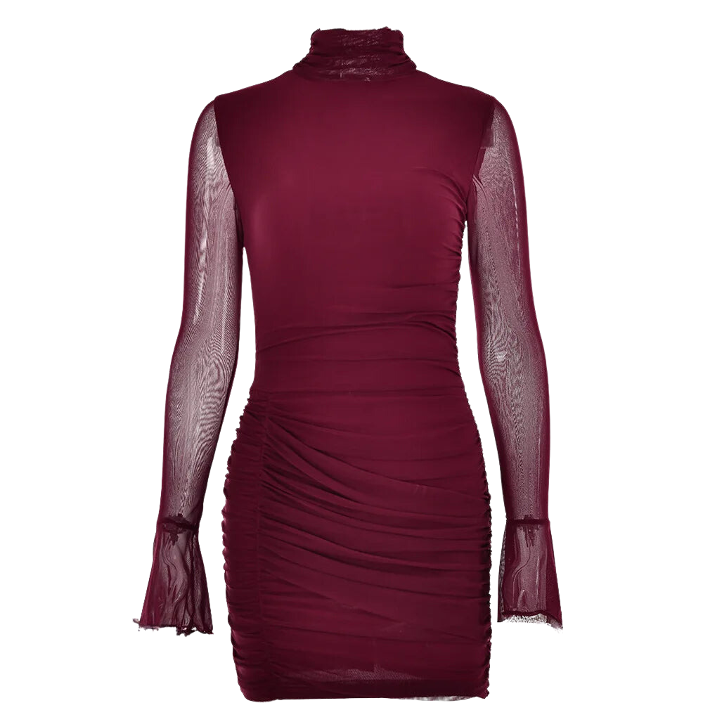 A&A Luxe Ruched Mesh Long Sleeve Mini Dress