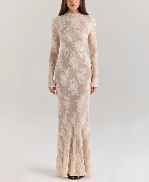 A&A Luxe High Collar Bodycon Lace Print Long Sleeve Maxi Dress