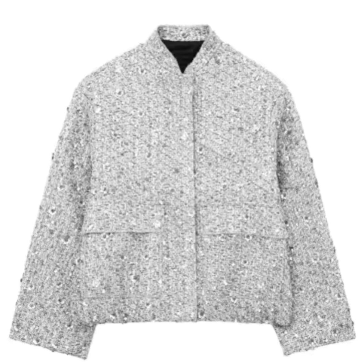 A&A Luxe Sparkle Long Sleeve Jacket