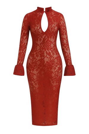 A&A Lace Cut Out Long Sleeve Midi Bodycon Dress