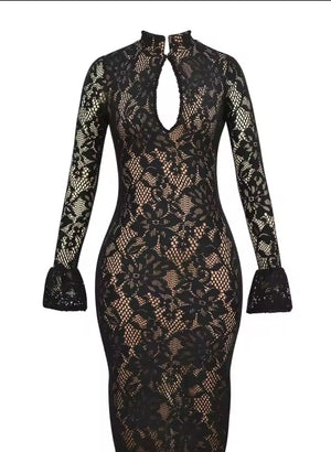 A&A Lace Cut Out Long Sleeve Midi Bodycon Dress