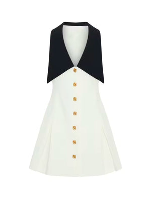 A&A Color Block Button Front Sleeveless A Line Dress