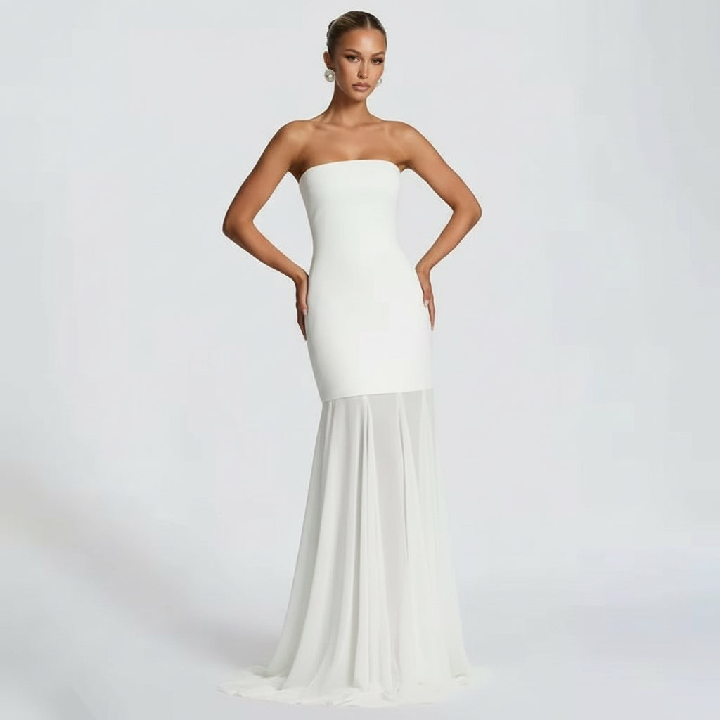 A&A Strapless Mesh Maxi Bodycon Dress