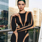 A&A Luxe Long Sleeve Elegant Mesh Insert Bodycon Maxi dress