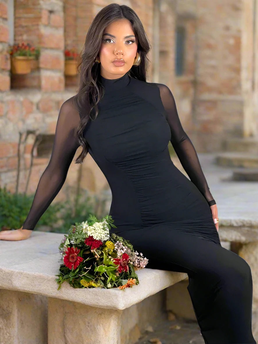 A A Mesh Highneck Sheer Long Sleeve Midi Bodycon Dress ARIELLA AYANA