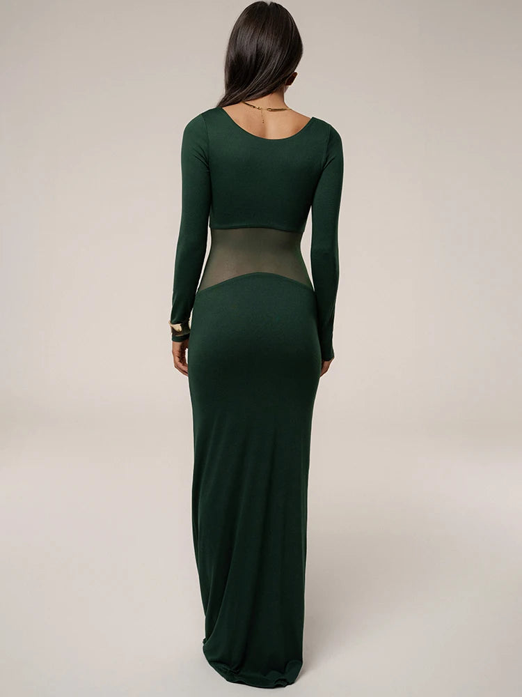A&A Mesh Long Sleeve Sheer Insert Bodycon Maxi Dress