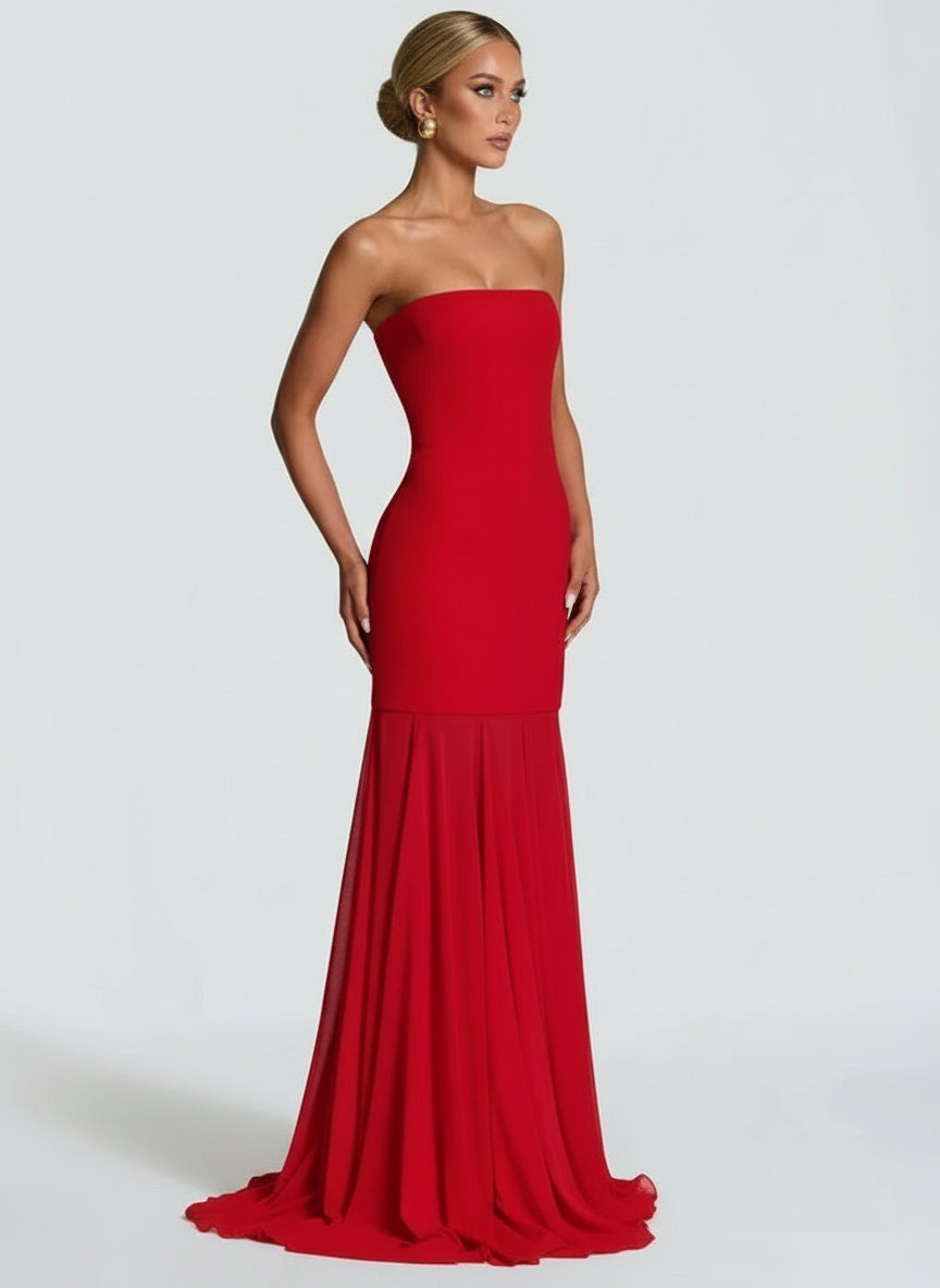 A&A Strapless Mesh Maxi Bodycon Dress