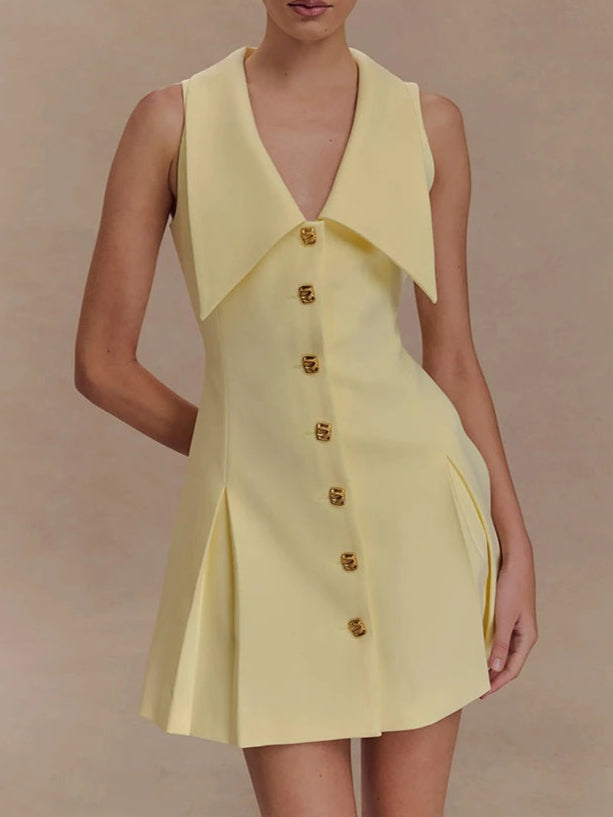 A&A Color Block Button Front Sleeveless A Line Dress