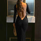 A&A V Backless Long Sleeve  Ruched Maxi Dress