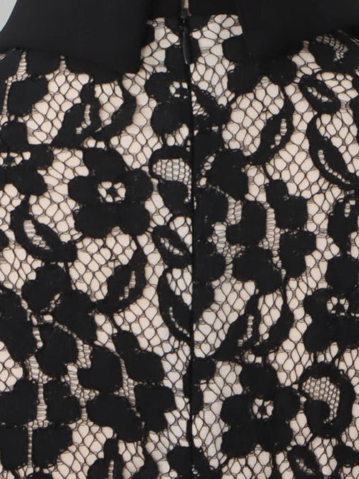 A&A Soreia Lace Collar Shirt Dress