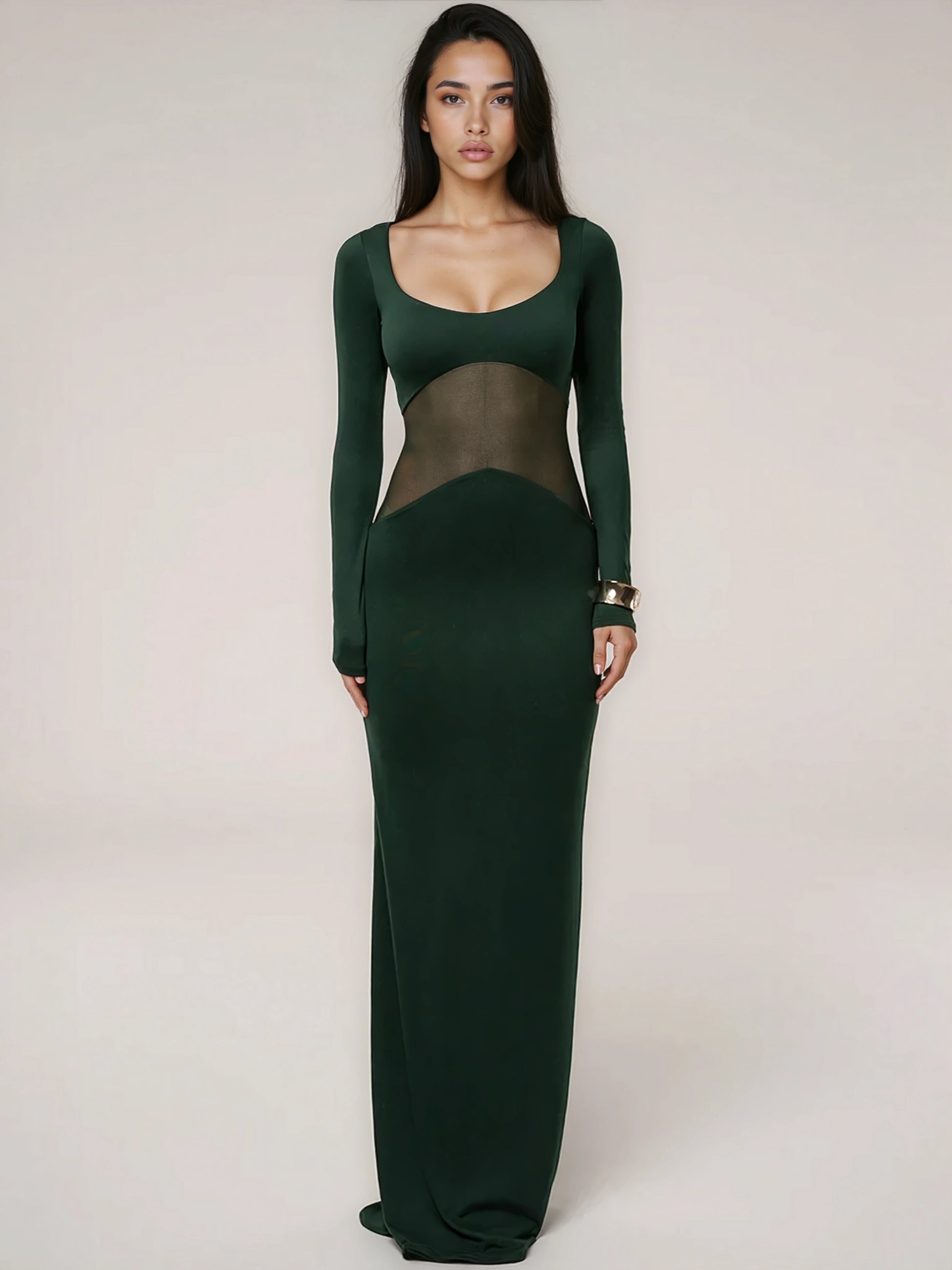 A&A Mesh Long Sleeve Sheer Insert Bodycon Maxi Dress