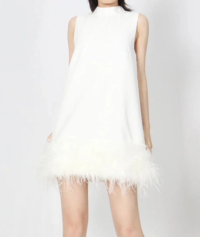 A&A Luxe A Line Feather Tassel Dress