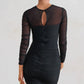 A&A Ruched Mesh Sheer Long Sleeve Bodycon Dress