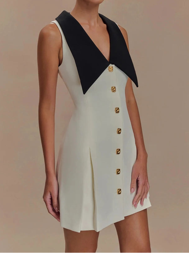 A&A Color Block Button Front Sleeveless A Line Dress