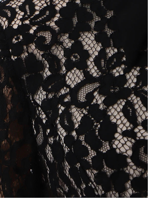 A&A Soreia Lace Collar Shirt Dress