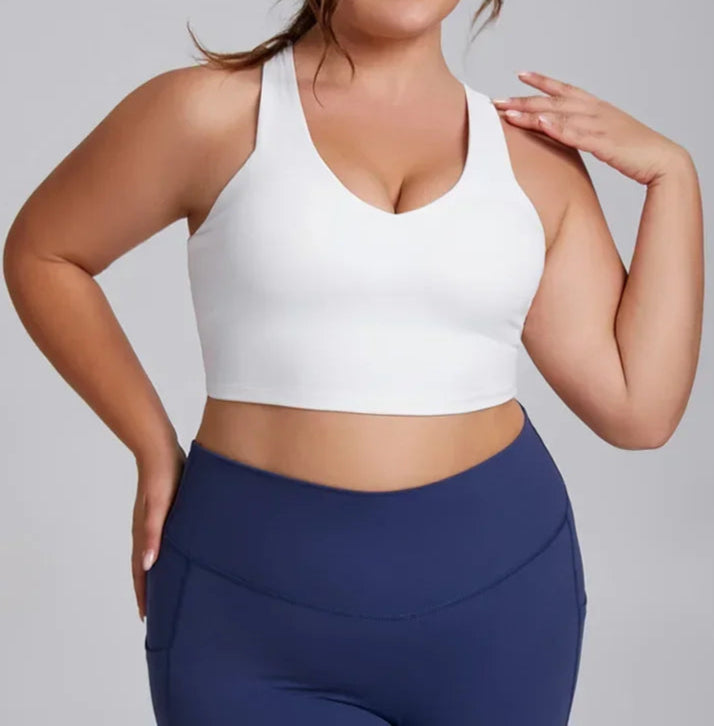 A&A ProSculpt Plus Size Sports Bra