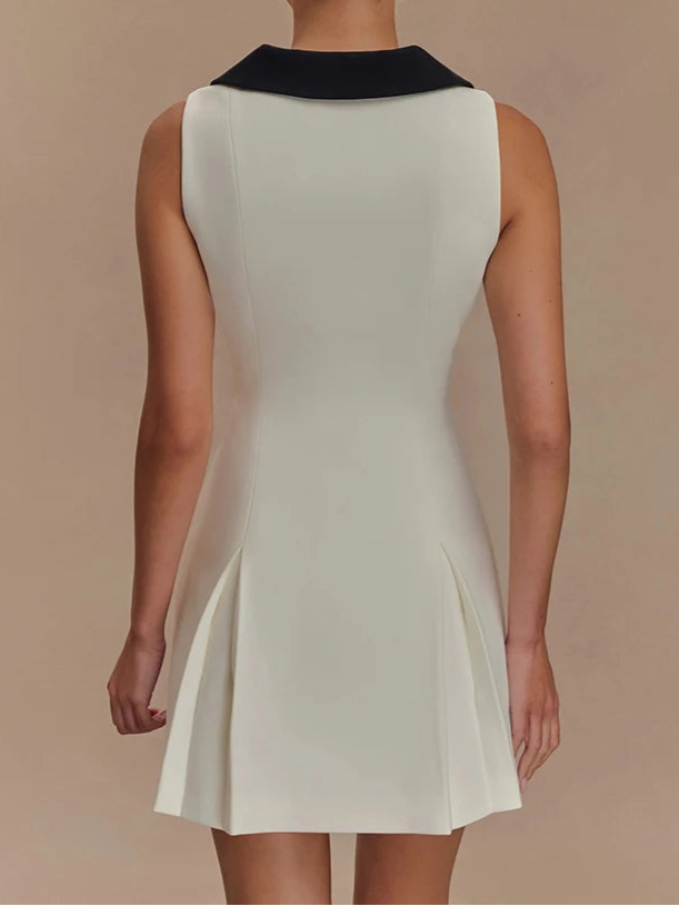 A&A Color Block Button Front Sleeveless A Line Dress