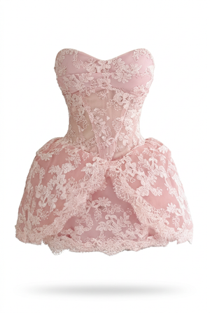 A&A Florina Lace Embroidery Corset Detail Mini Dress