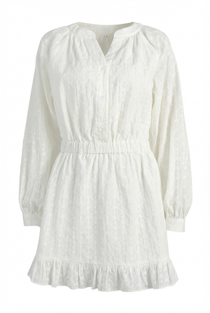 A&A Alouette Ruffled Button Up Mini Dress