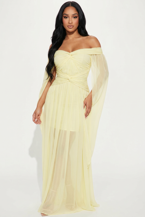 A&A Florielle Draped Mesh Overlay Maxi Dress