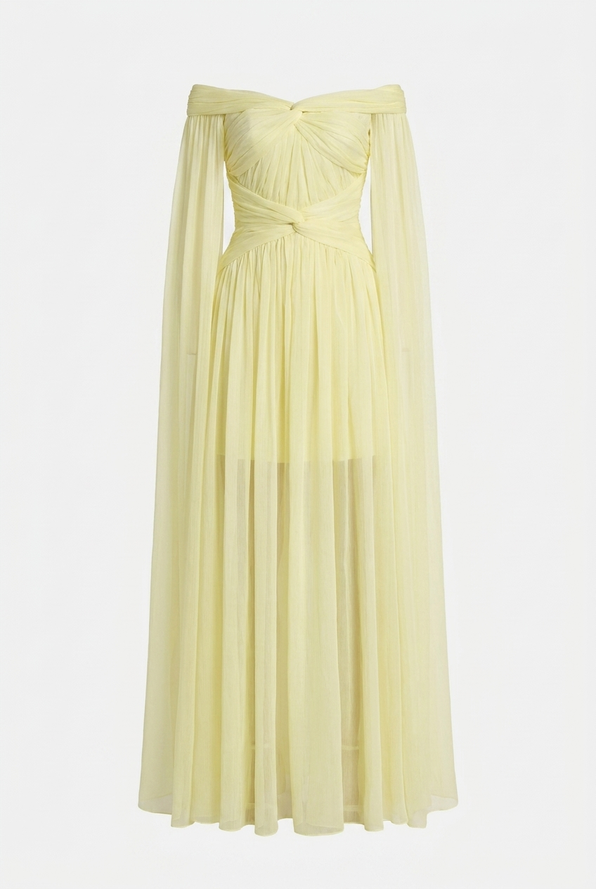A&A Florielle Draped Mesh Overlay Maxi Dress