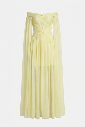 A&A Florielle Draped Mesh Overlay Maxi Dress