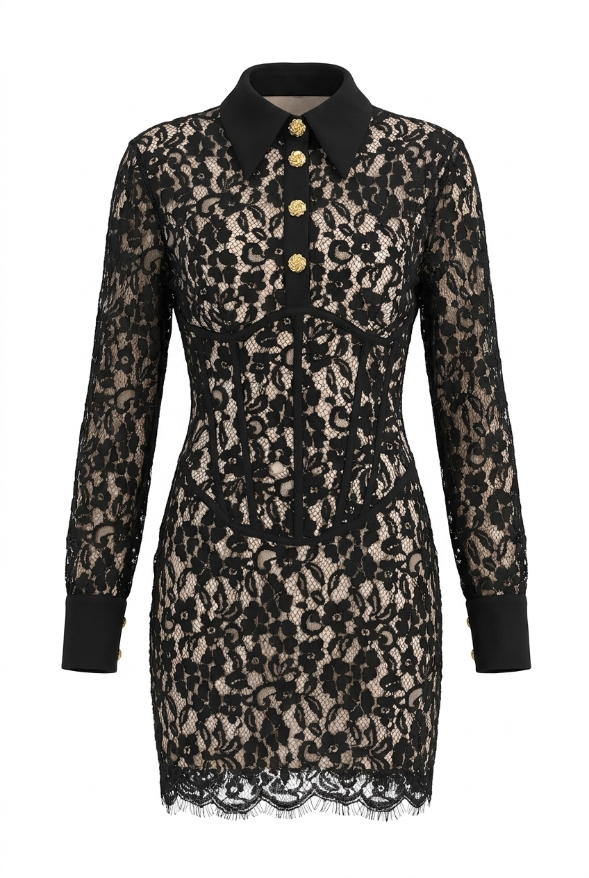 A&A Soreia Lace Collar Shirt Dress