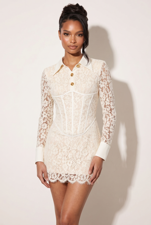 A&A Soreia Lace Collar Shirt Dress