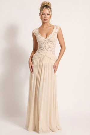 A&A Thalisse Lace Detail Sheer Draped Maxi Dress