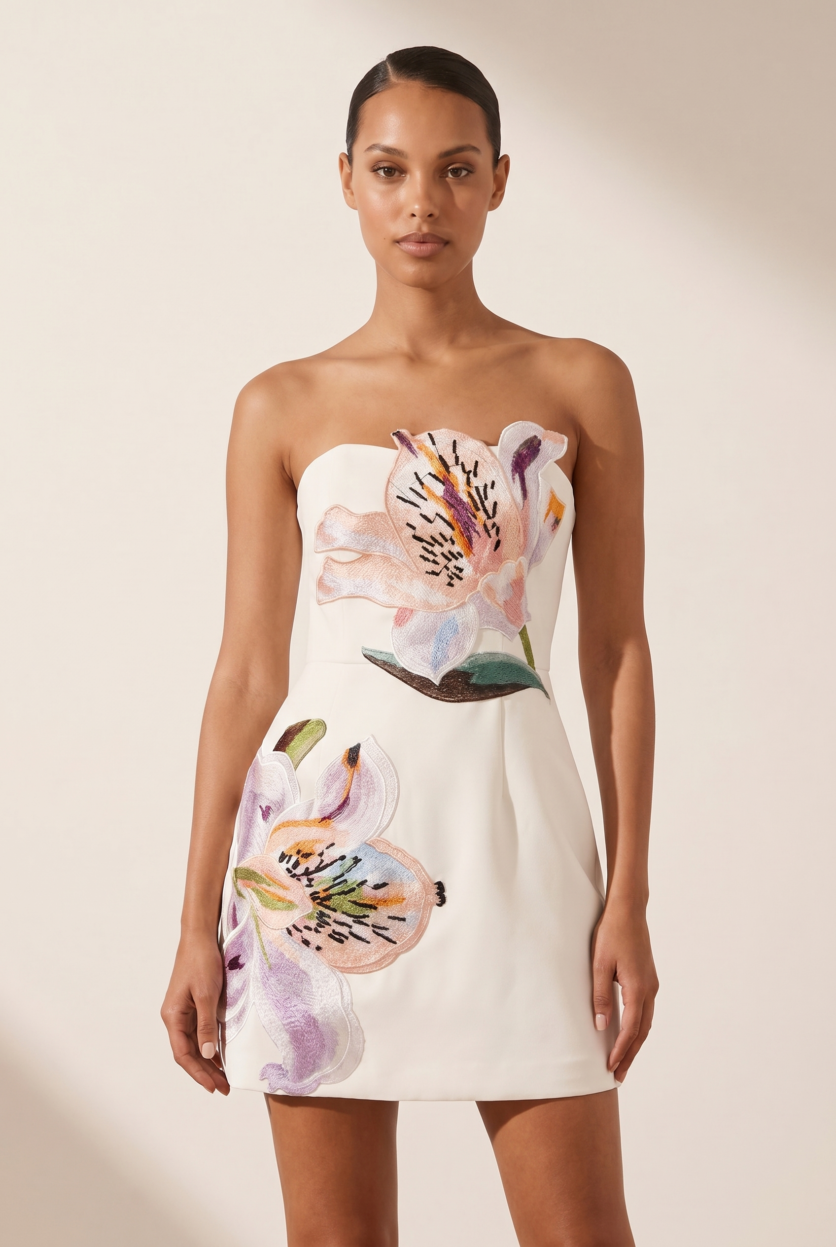 A&A Azzelle Floral Embroidered  A-Line Mini Dress