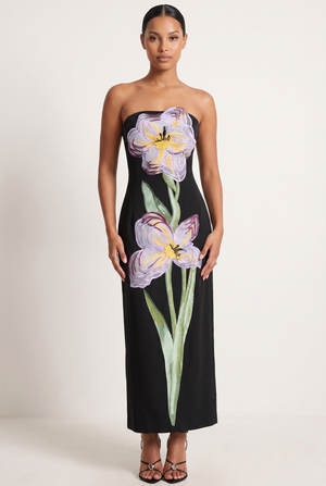 A&A Solelle Floral Embroidered A-Line Maxi Dress