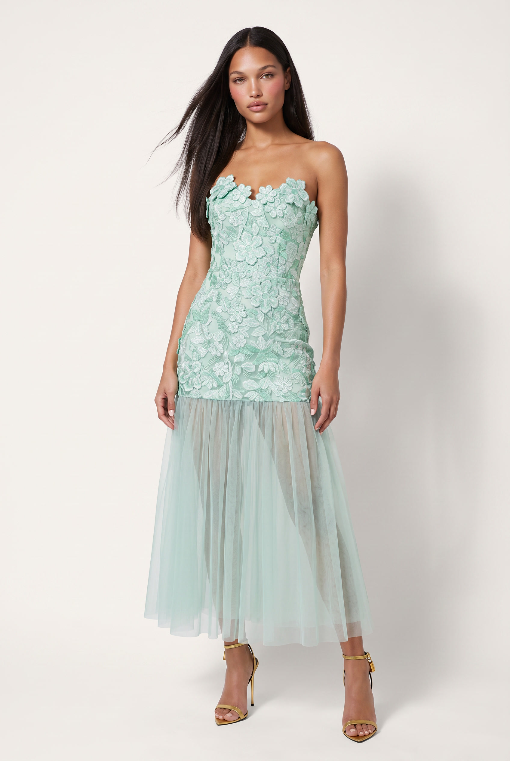 A&A Serena Floral Embroidered Mesh Maxi Dress
