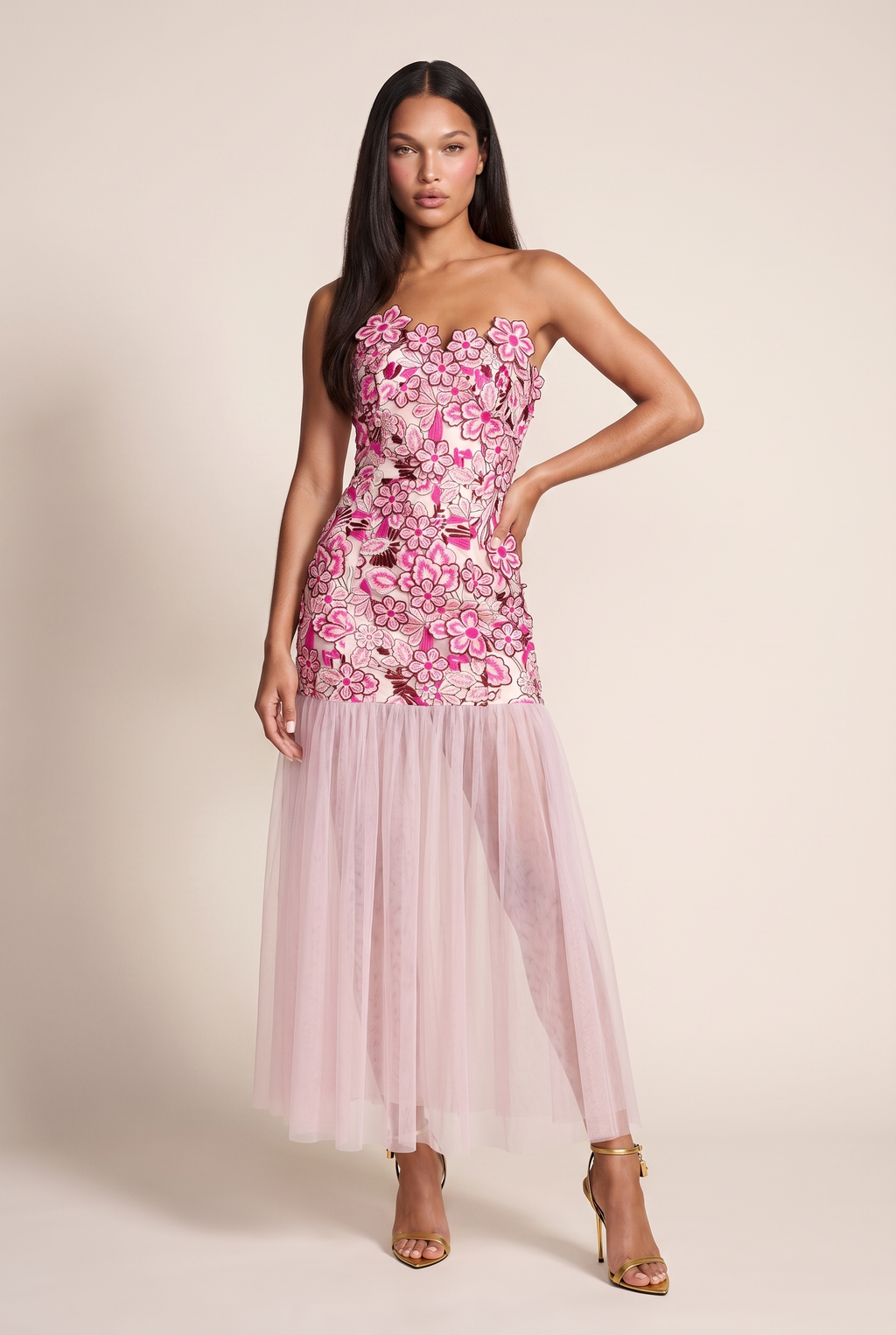 A&A Serena Floral Embroidered Mesh Maxi Dress