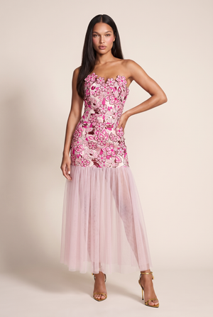 A&A Serena Floral Embroidered Mesh Maxi Dress