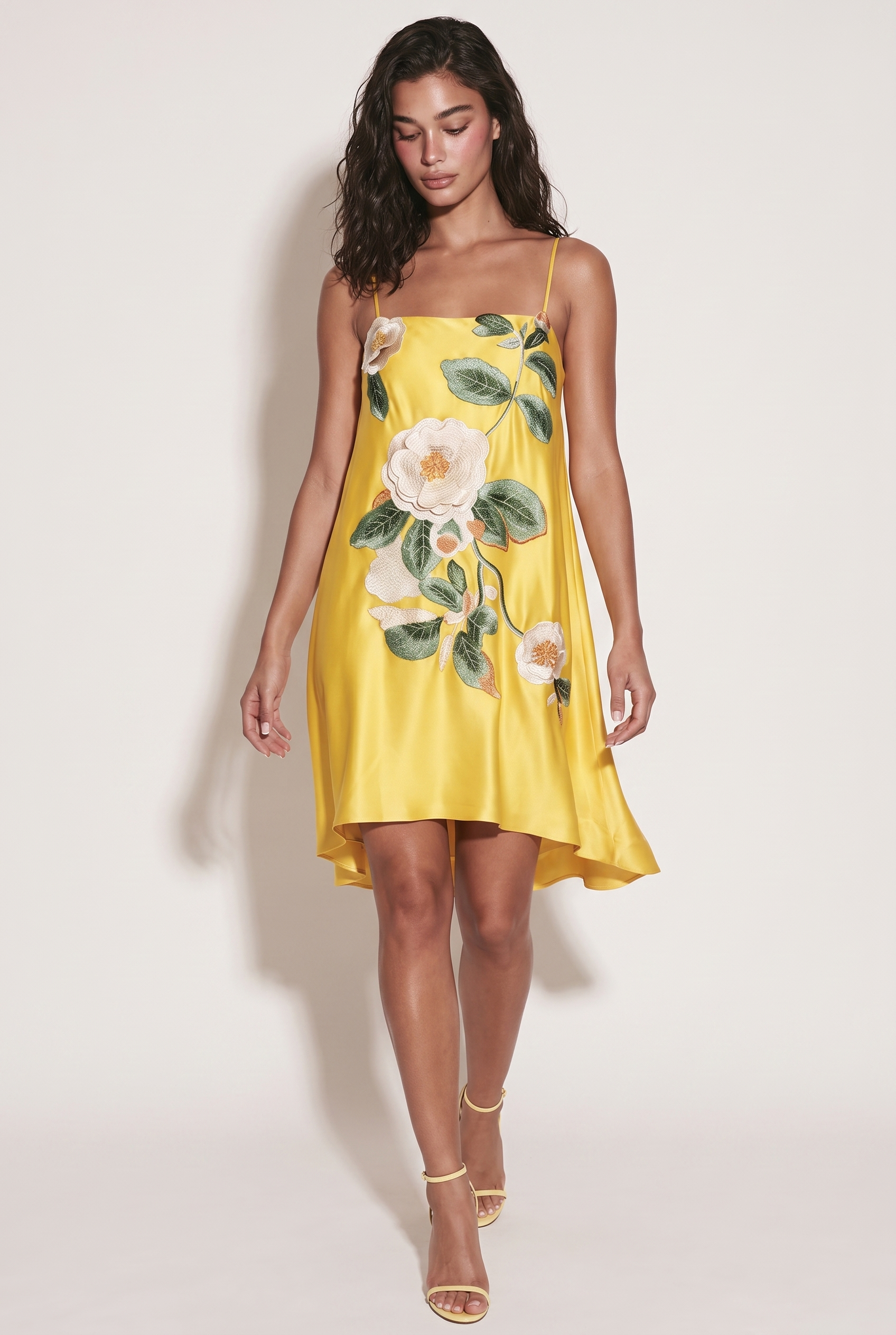 A&A Noelle Embroidered Floral Floaty Mini Dress