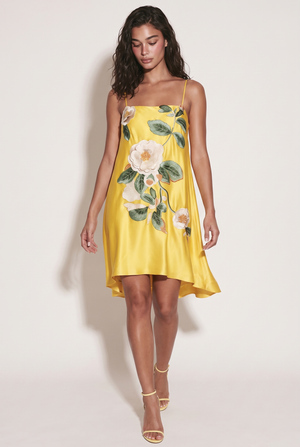 A&A Noelle Embroidered Floral Floaty Mini Dress