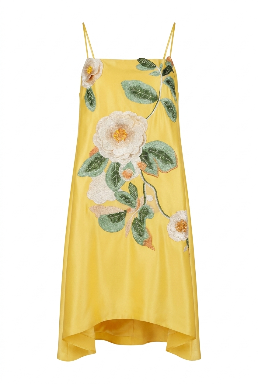 A&A Noelle Embroidered Floral Floaty Mini Dress